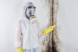 Why You Should Choose Our Mold Remediation Services in Ferron, UT